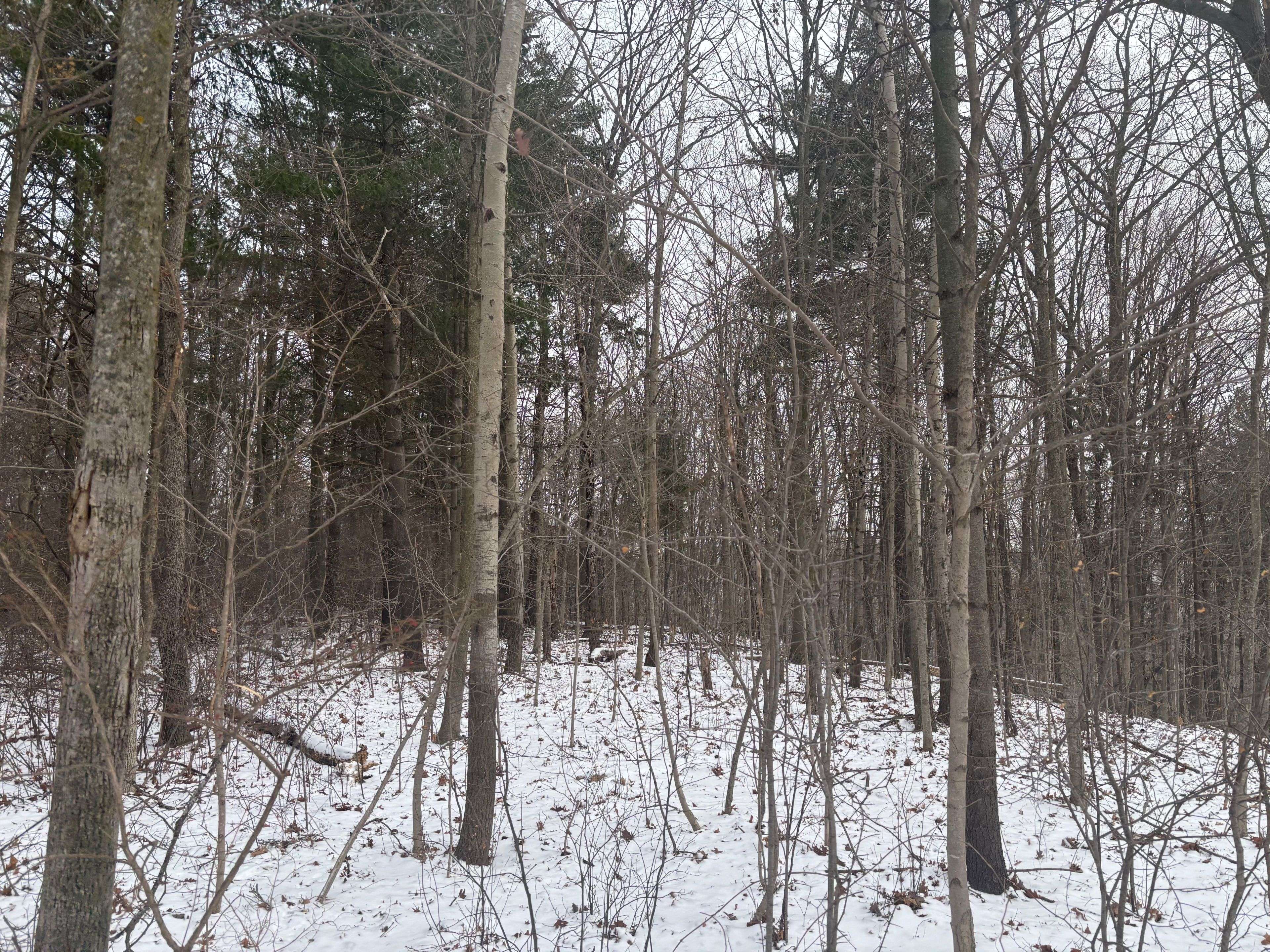 Northern Bruce Peninsula, ON N0H 1Z0,LT 45 CON 7 EBR LINDSAY N/A