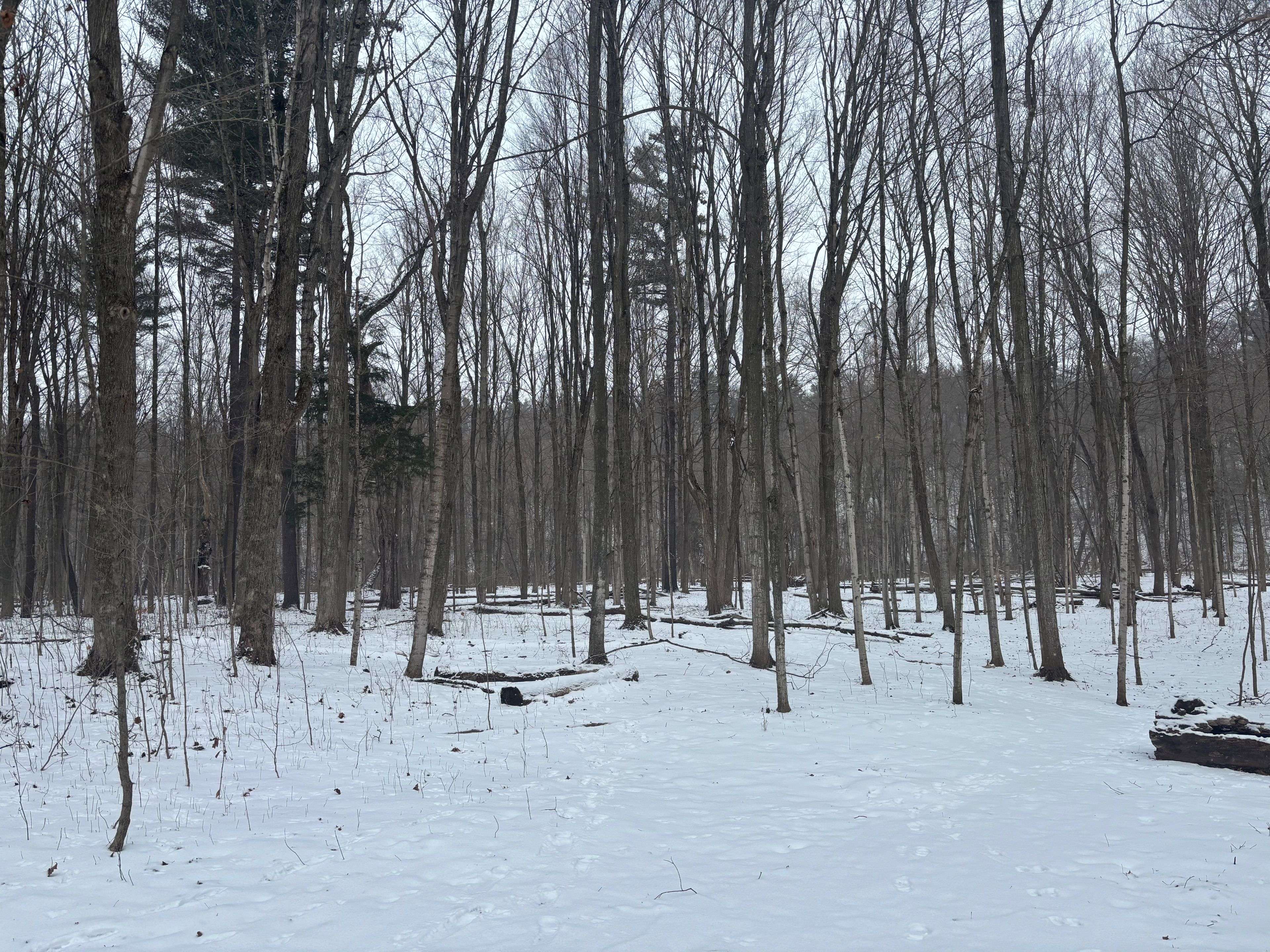 Northern Bruce Peninsula, ON N0H 1Z0,LT 45 CON 7 EBR LINDSAY N/A