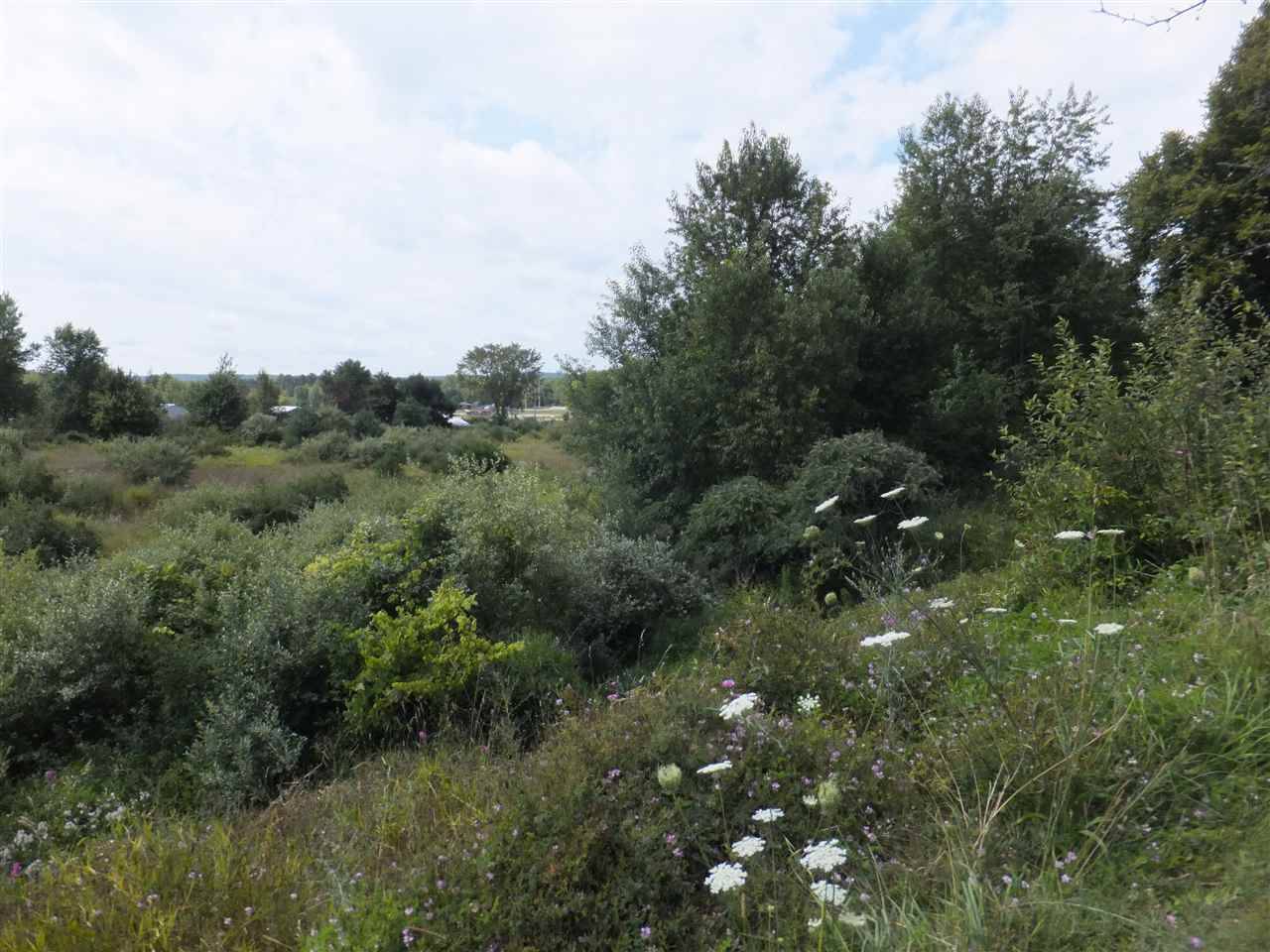 Benzonia, MI 49616,1388 Michigan AVE