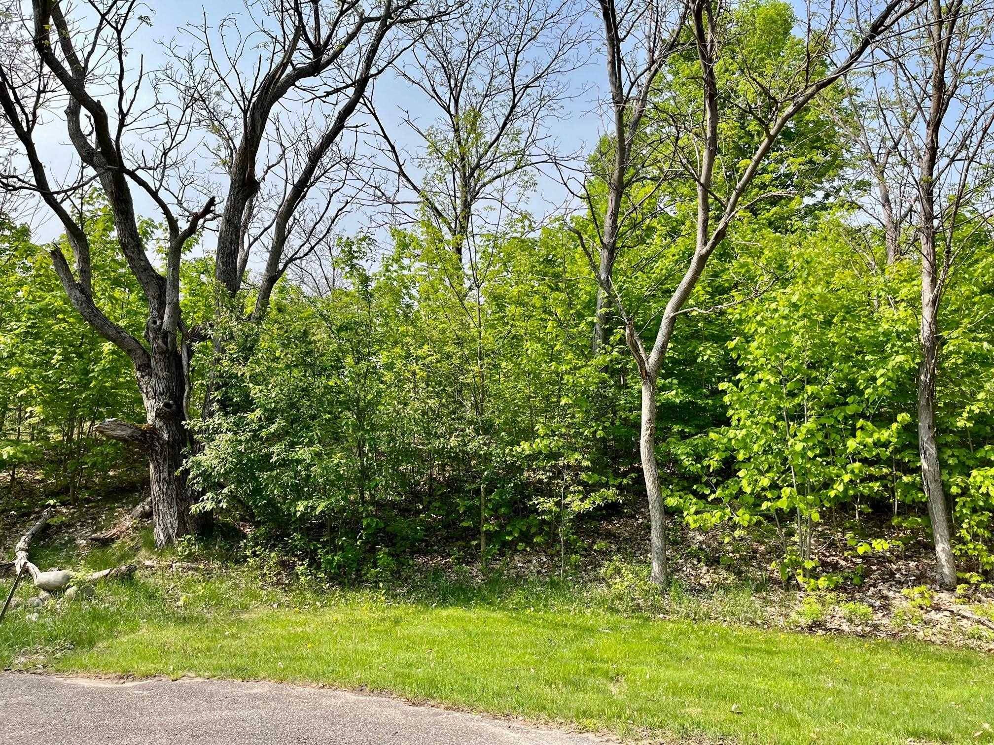 Bellaire, MI 49615,Units 162 & 163 Spyglass Hill CT