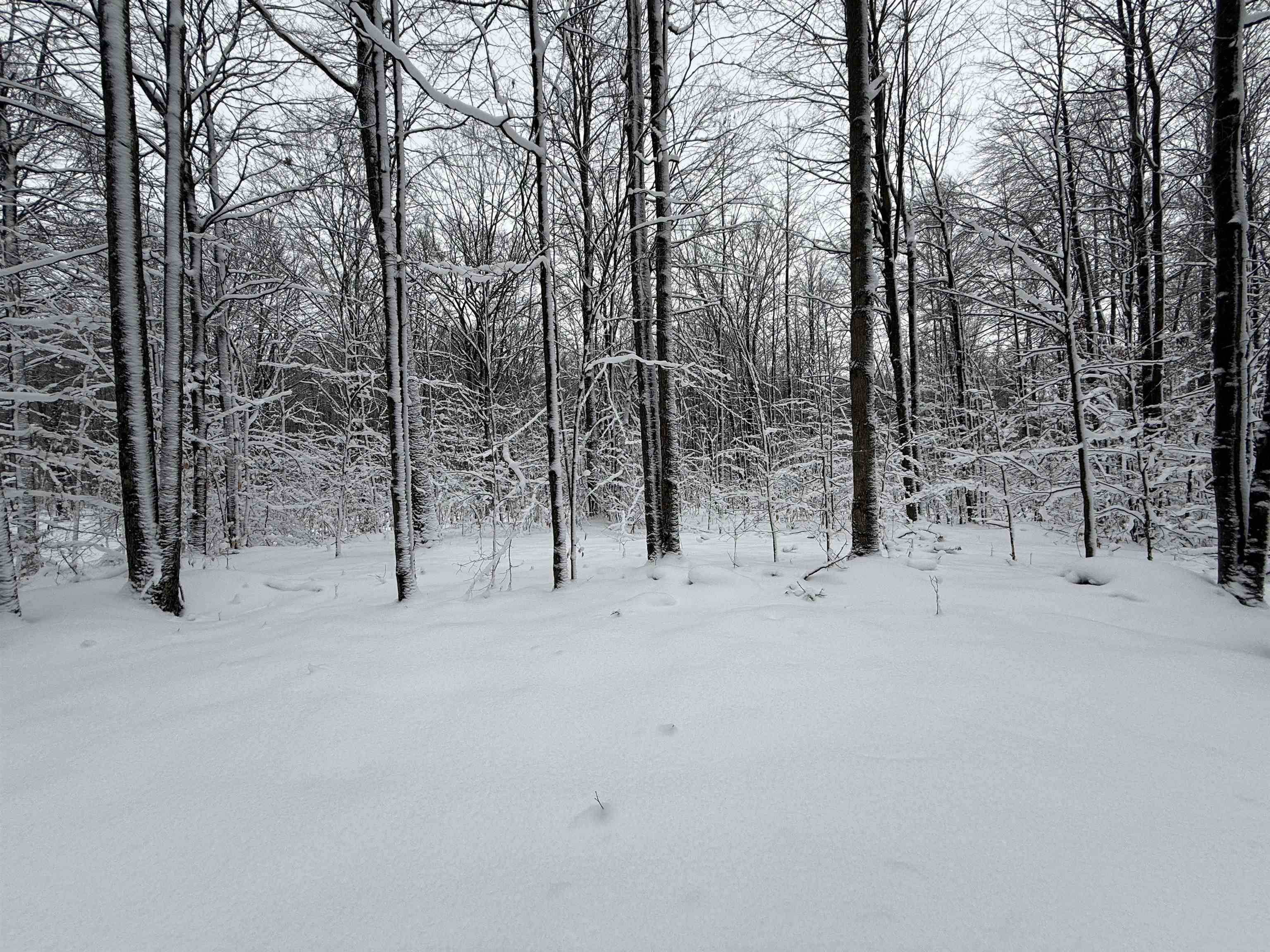 Falmouth, MI 49632,0 E Kelly RD