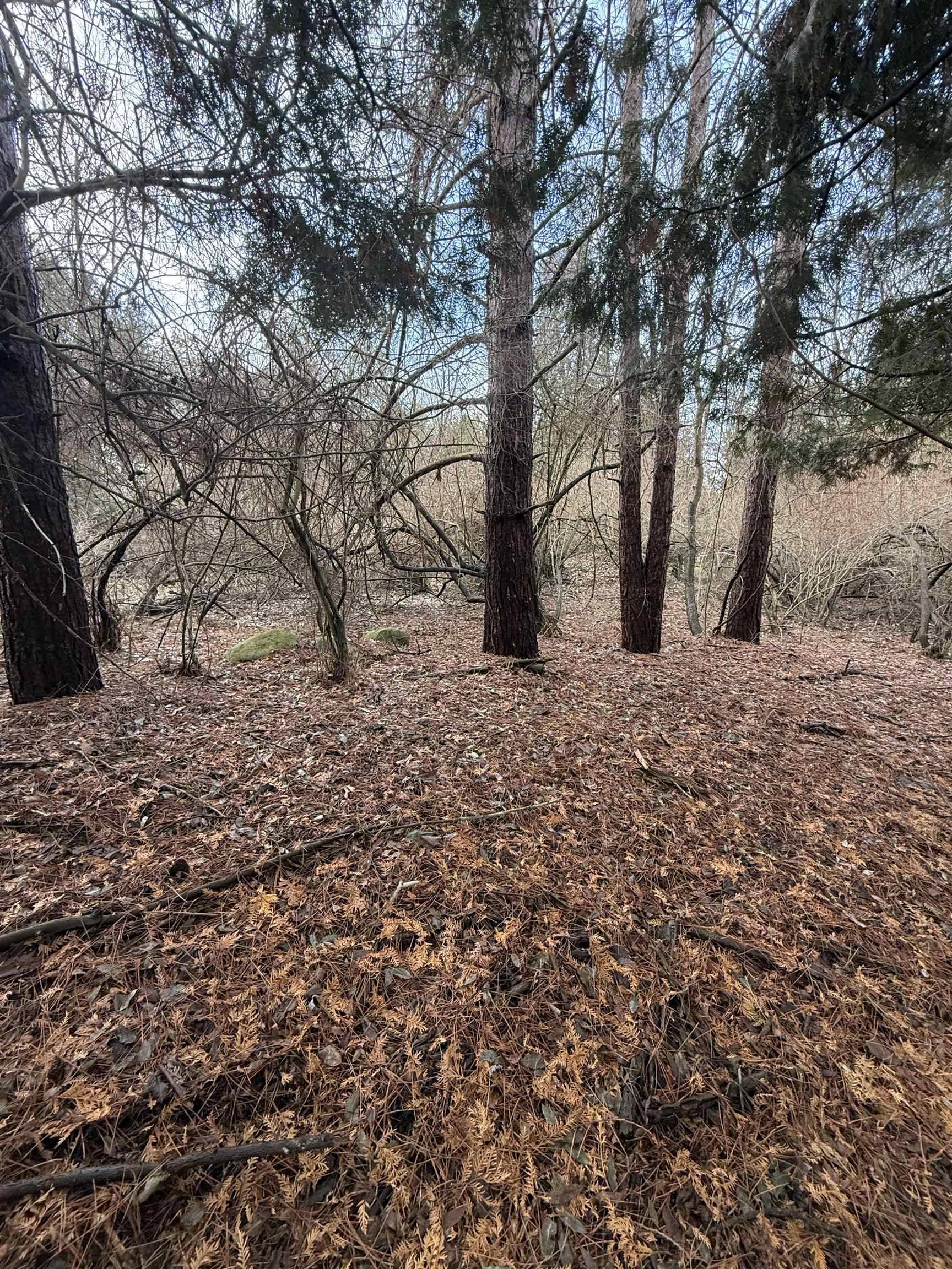 Mount Pleasant, MI 48858,TBD Cedar DR