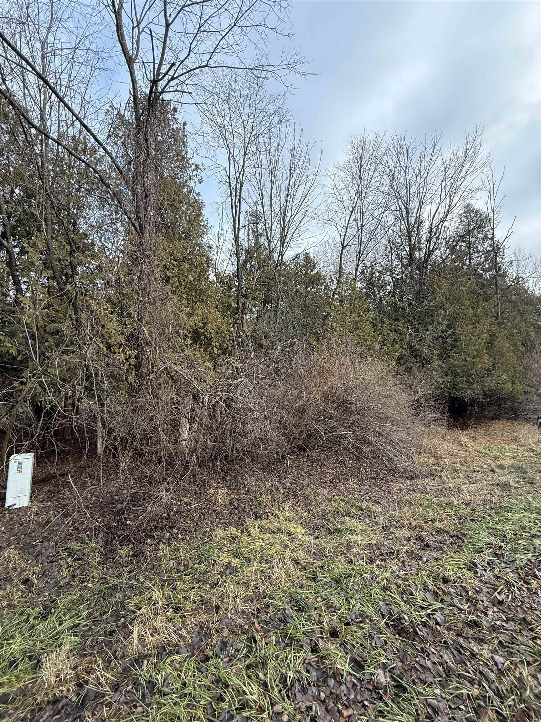 Mount Pleasant, MI 48858,TBD Cedar DR