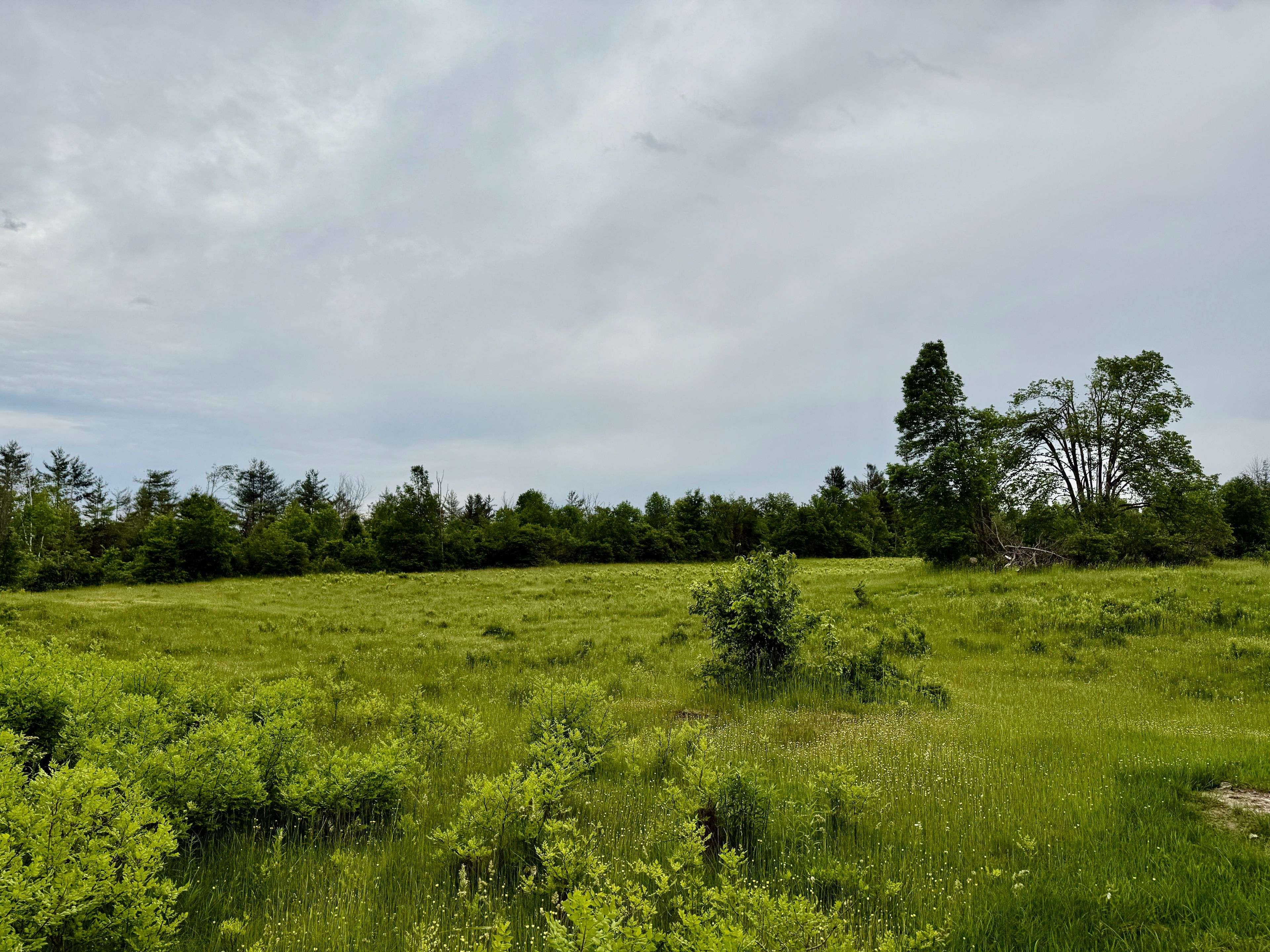 Madoc, ON K0K 2K0,00 Cooper RD