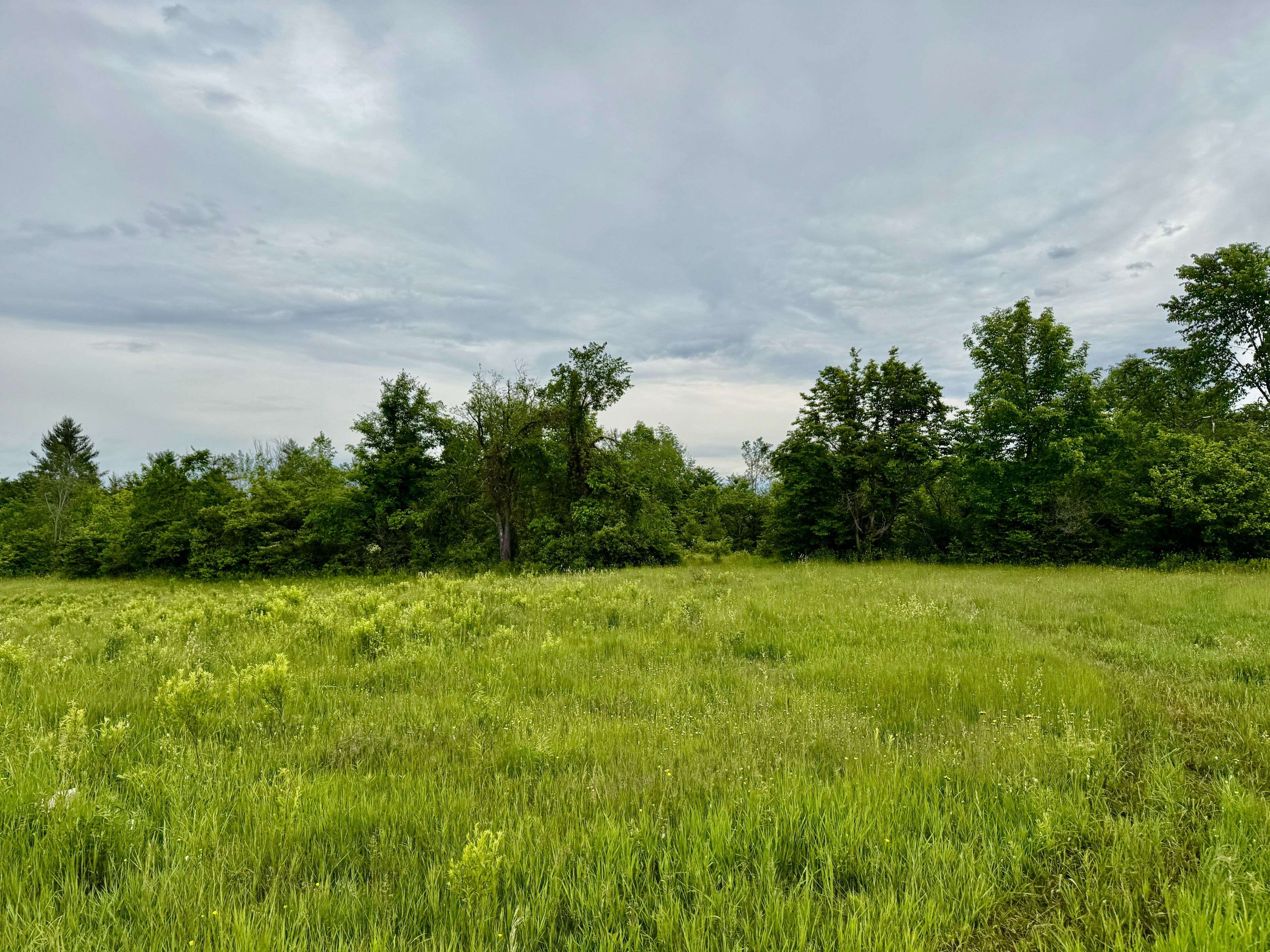 Madoc, ON K0K 2K0,00 Cooper RD