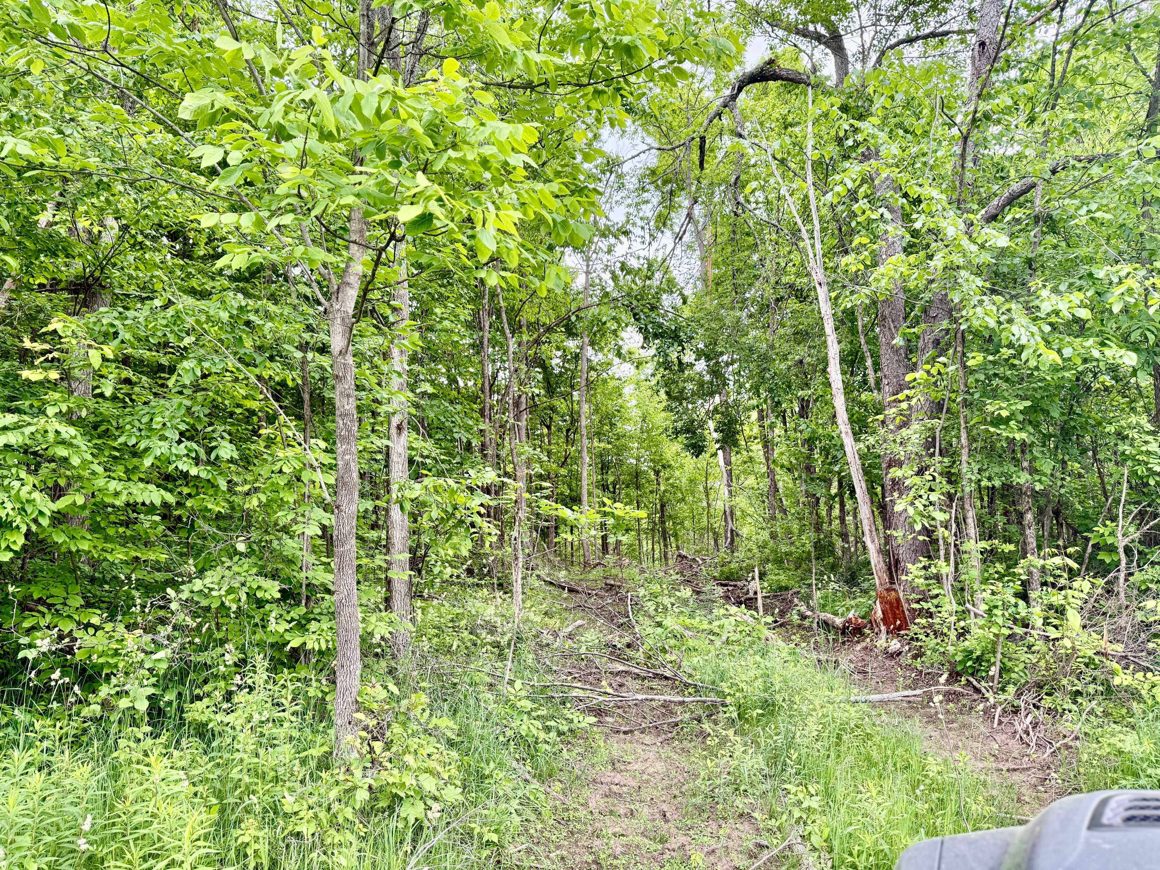 Madoc, ON K0K 2K0,00 Cooper RD