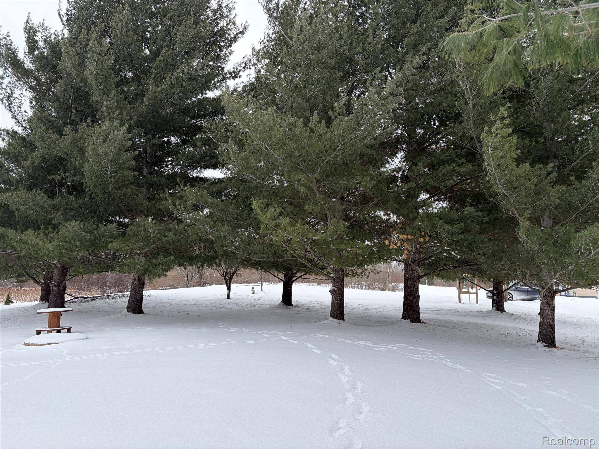 Gladwin, MI 48624,5467 Wellington