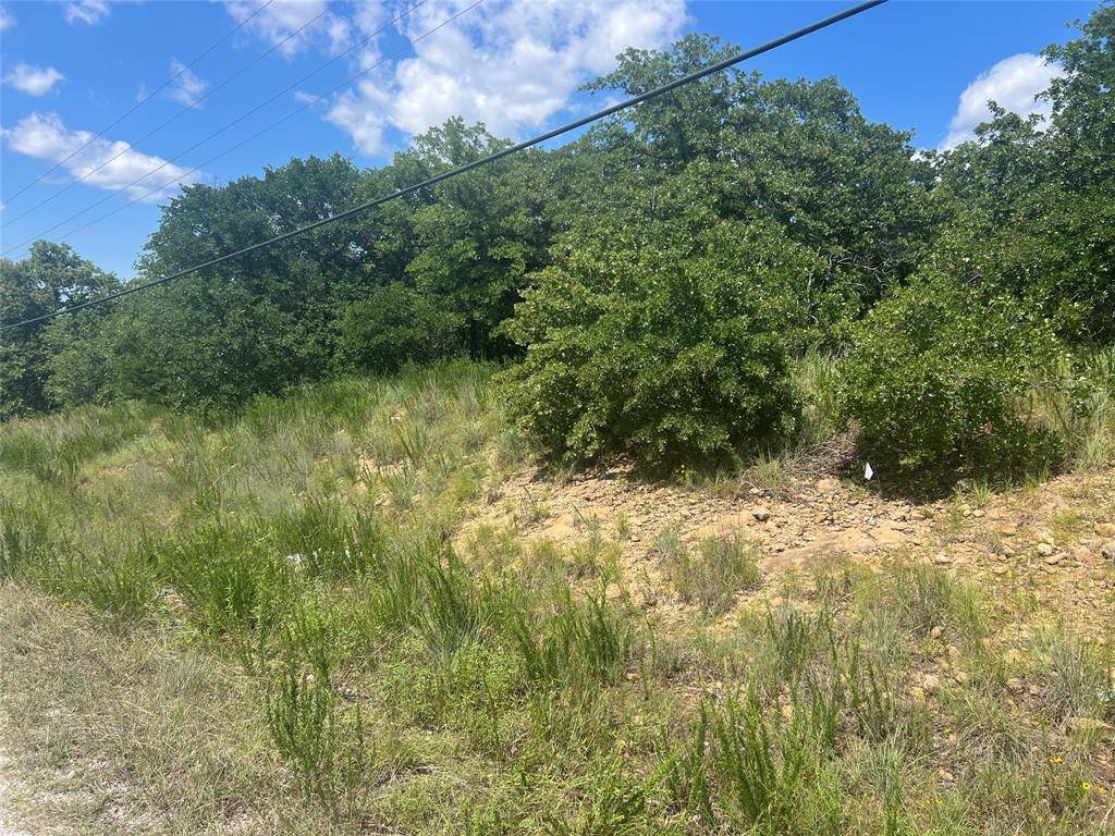 Bowie, TX 76230,LOT 479 Bluffs Avenue