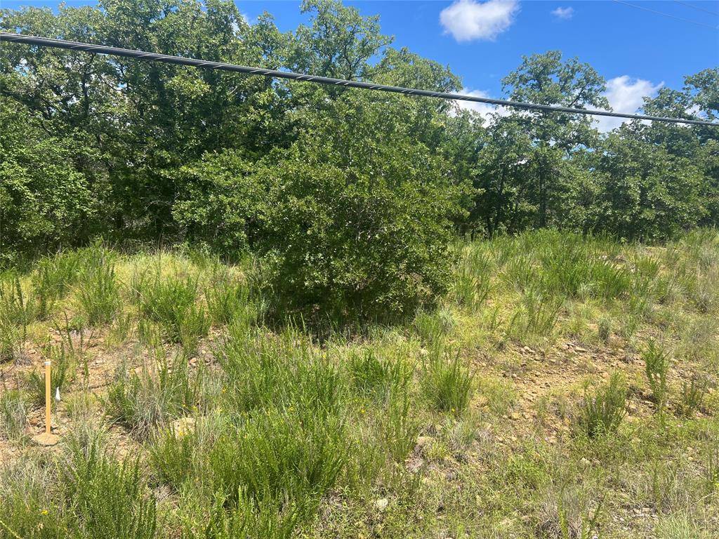 Bowie, TX 76230,LOT 479 Bluffs Avenue