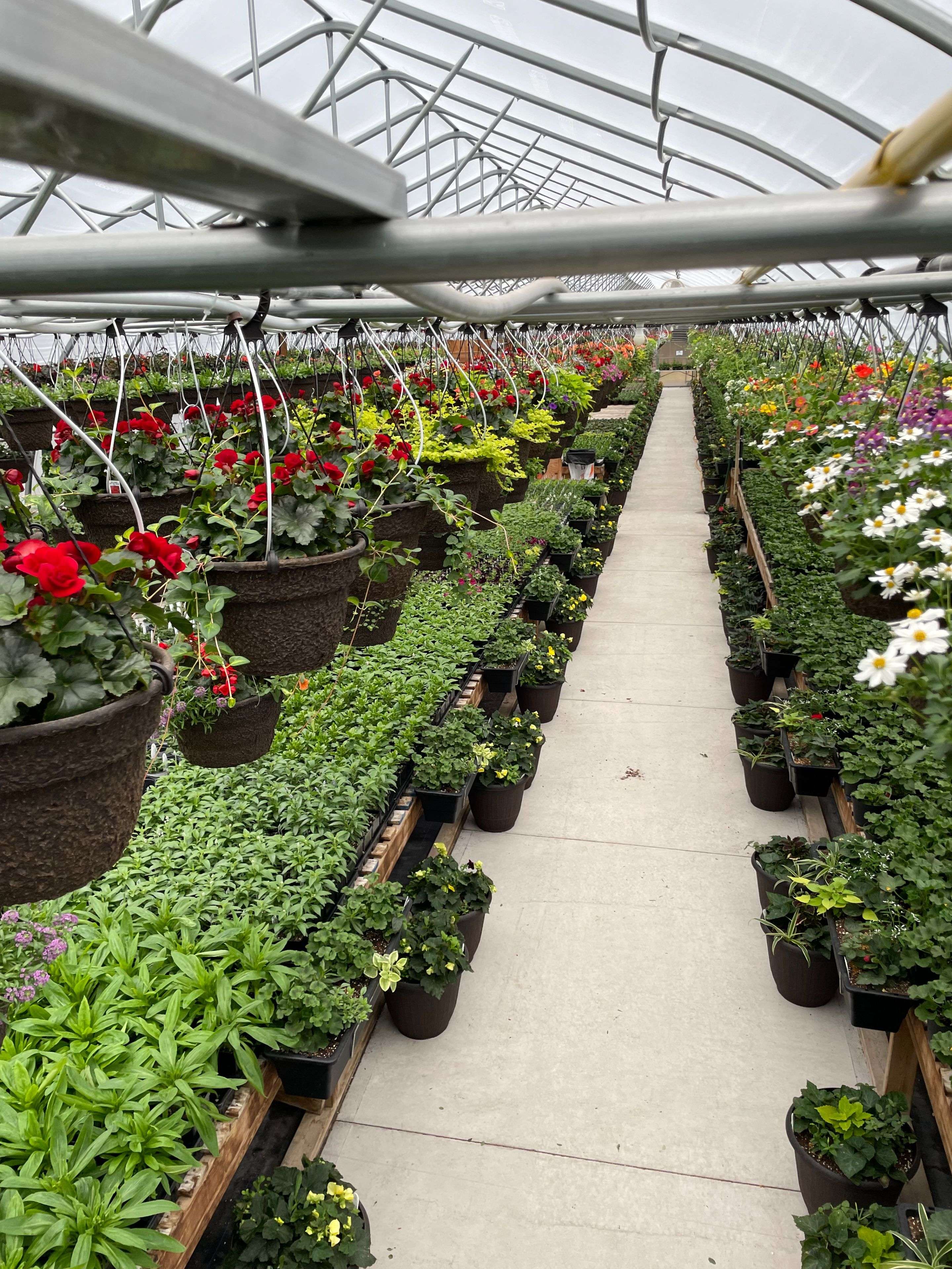 Trent Lakes, ON K0M 1A0,19 Ledge RD