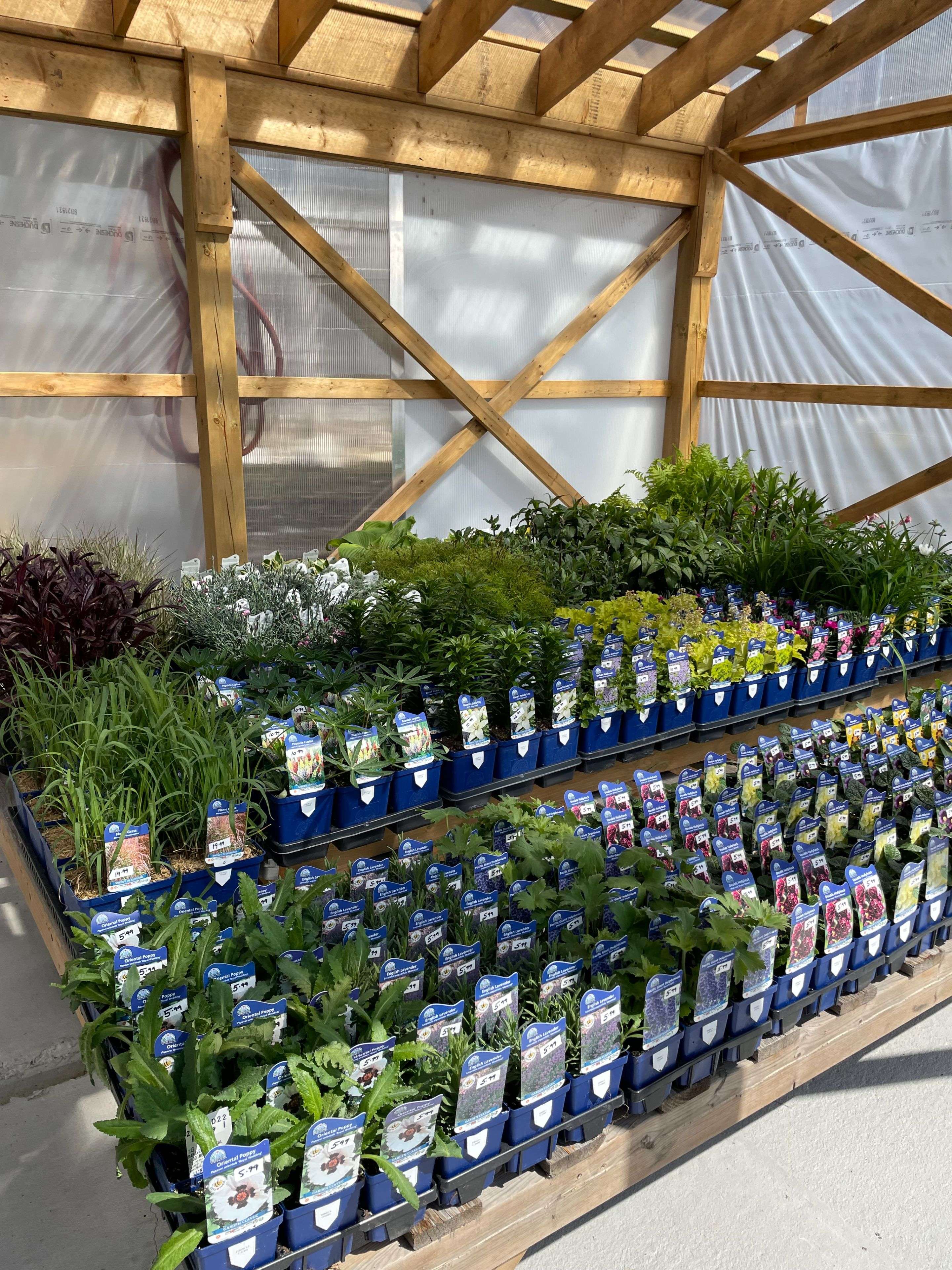 Trent Lakes, ON K0M 1A0,19 Ledge RD