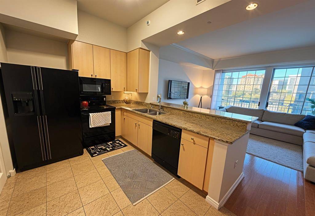 Dallas, TX 75219,3225 Turtle Creek Boulevard #312