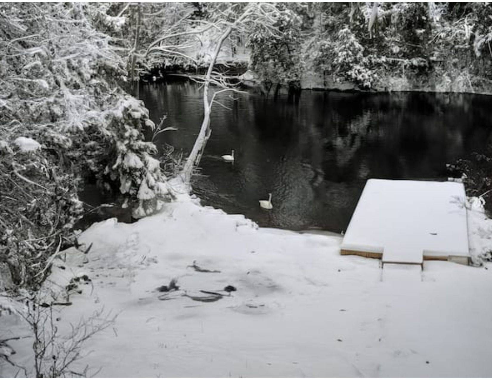 Severn, ON L0K 2B0,3309 Riverdale DR