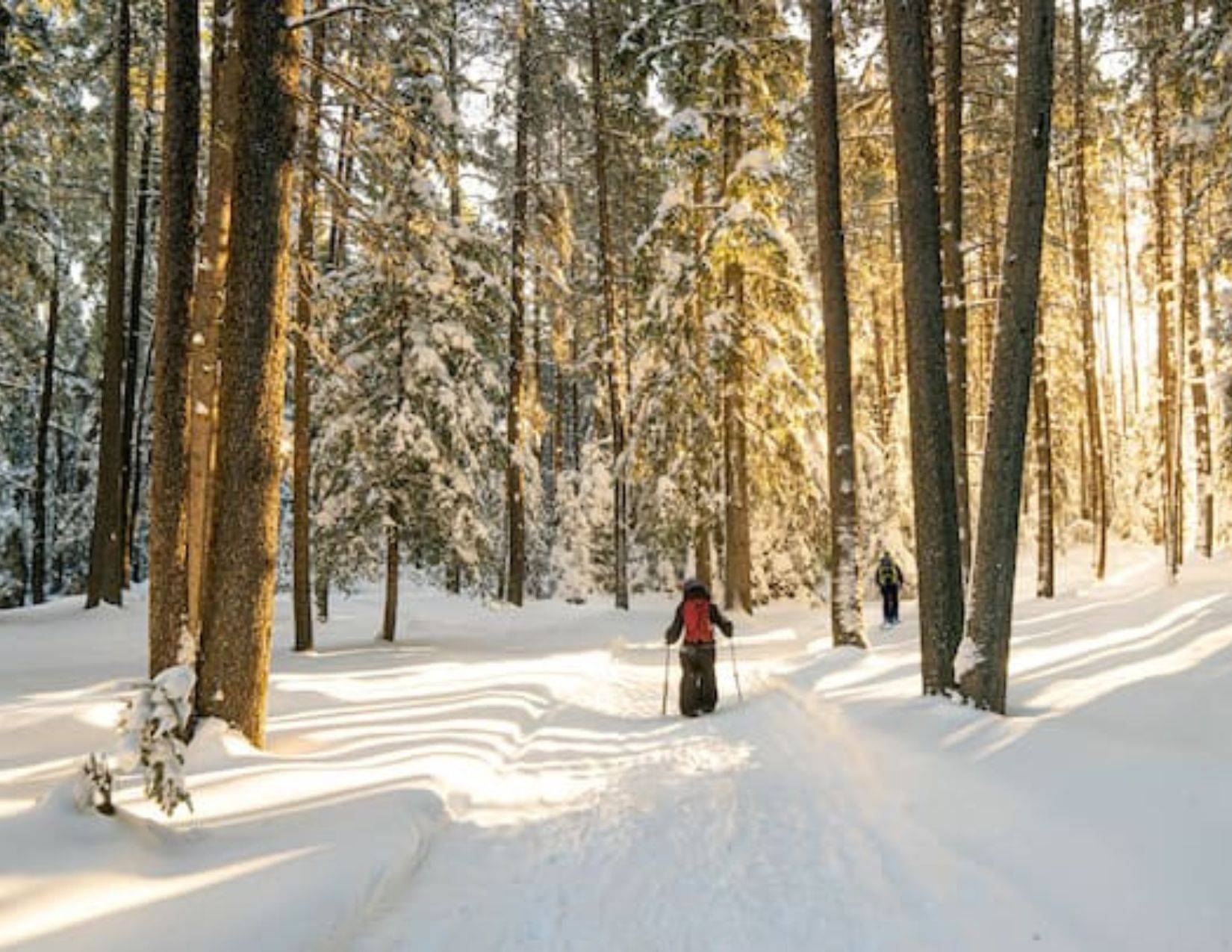 Severn, ON L0K 2B0,3309 Riverdale DR