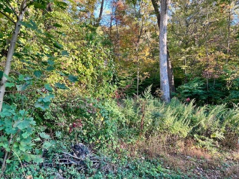 Jefferson Twp., NJ 07438,9 Old Woodland Trl