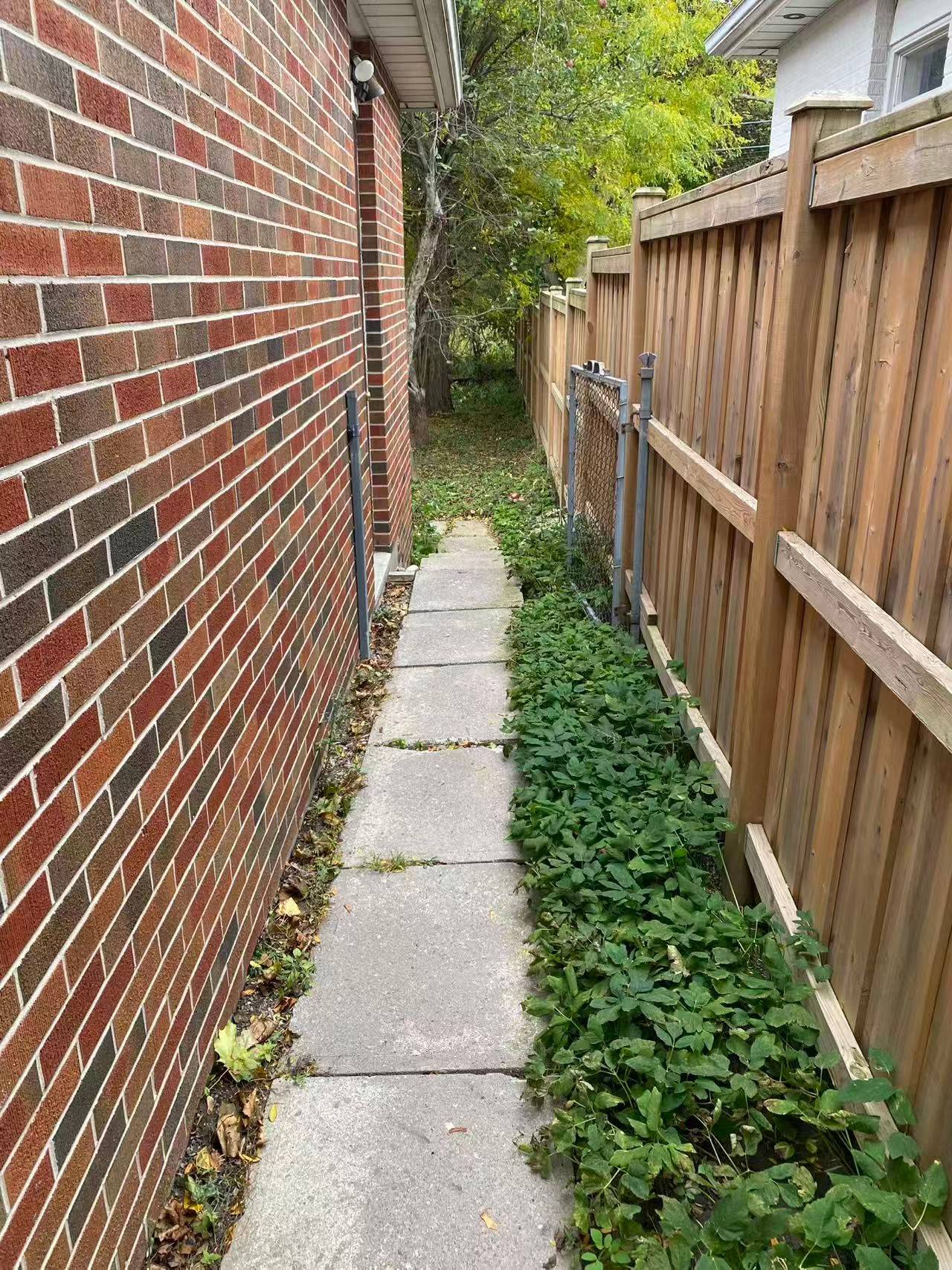 Markham, ON L3P 1G9,65 Drakefield RD #Main& Basement