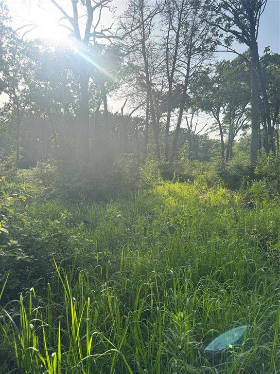 Teague, TX 75860,335 FM 80