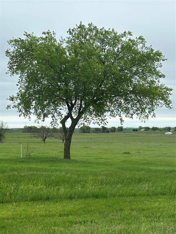 Muenster, TX 76252,TBD -2 Fm 1198