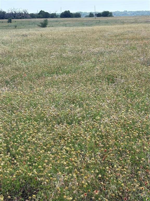 China Spring, TX 76633,TBD LOT 8 CR 3565