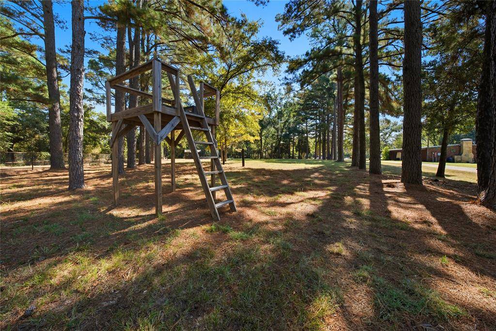 Trinidad, TX 75163,100 Letha Drive