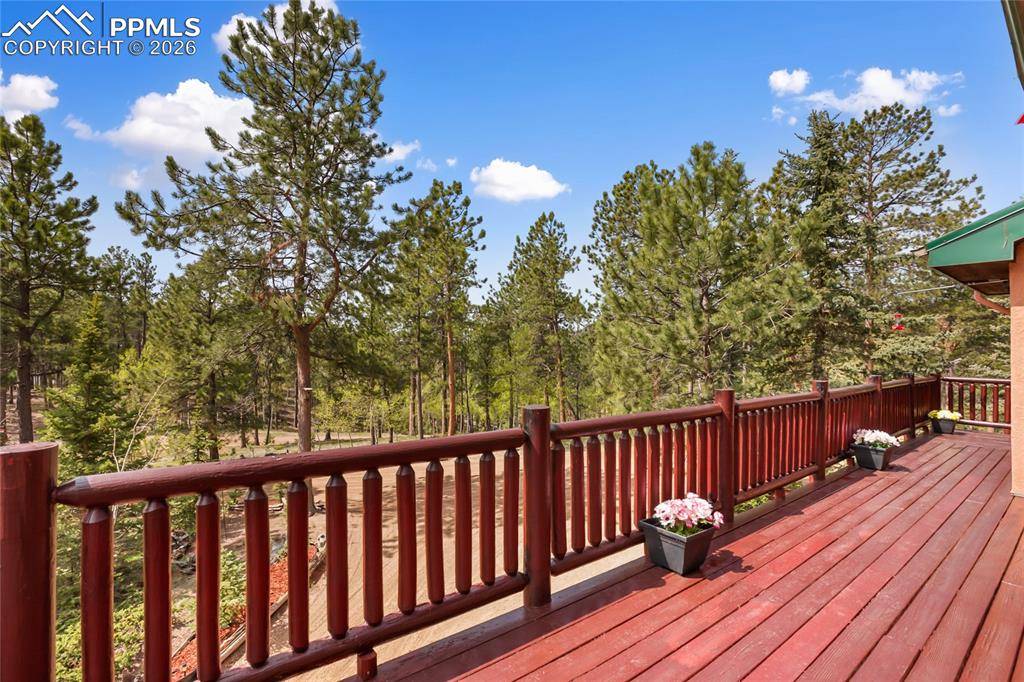 Florissant, CO 80816,381 Saddleback Creek DR