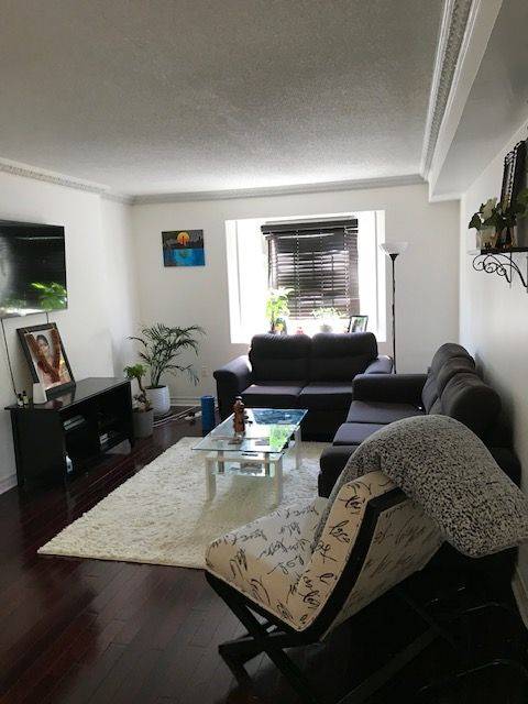 Toronto E10, ON M1E 5K3,36 Eli Shackleton CT