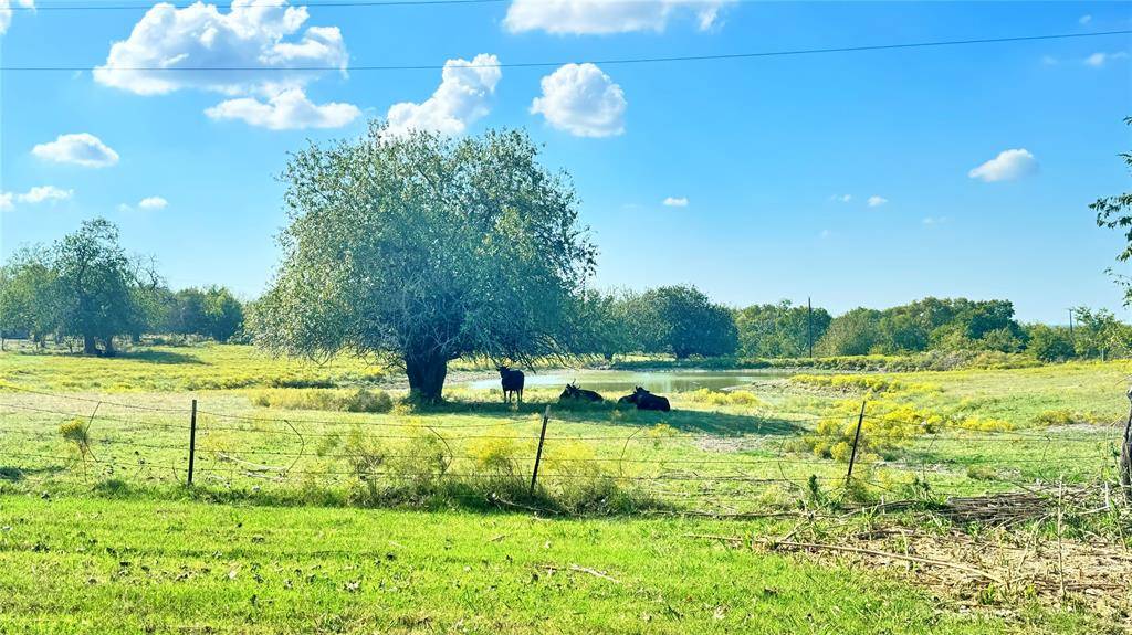 Gainesville, TX 76240,1258 County Road 352 Road