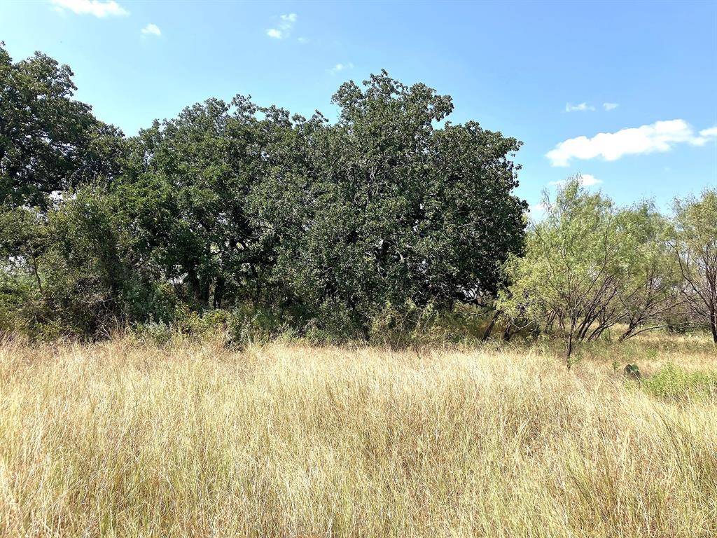 Comanche, TX 76442,40 Acres TBD HWY 2247