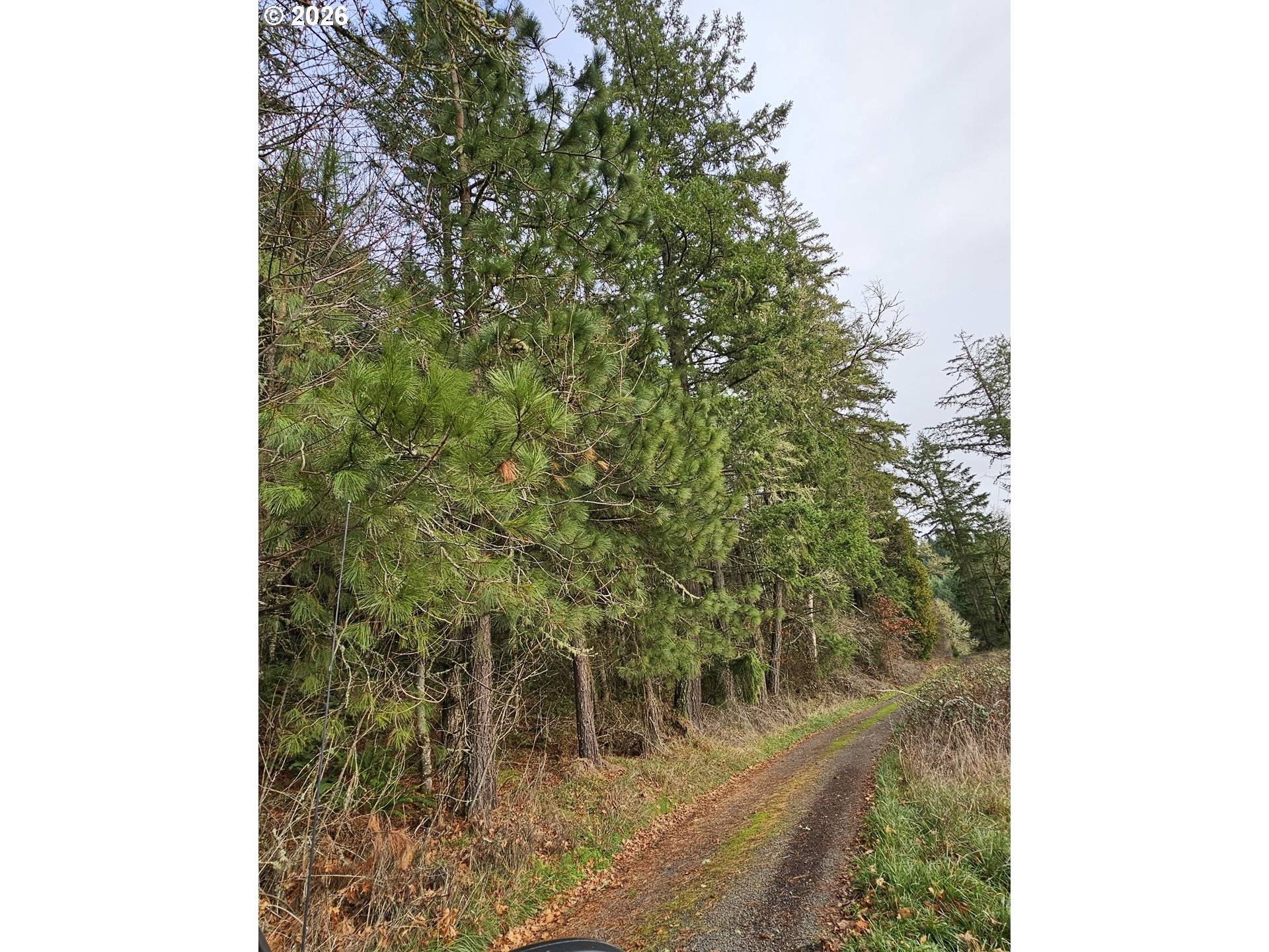 Eugene, OR 97402,85575 Doane RD