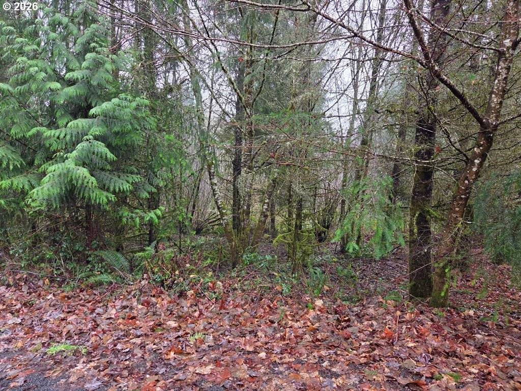 Castle Rock, WA 98611,176 White Pine RD