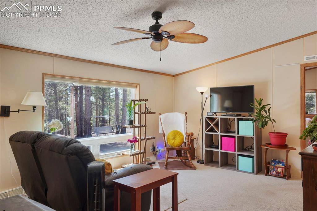 Florissant, CO 80816,2450 Pathfinder RD