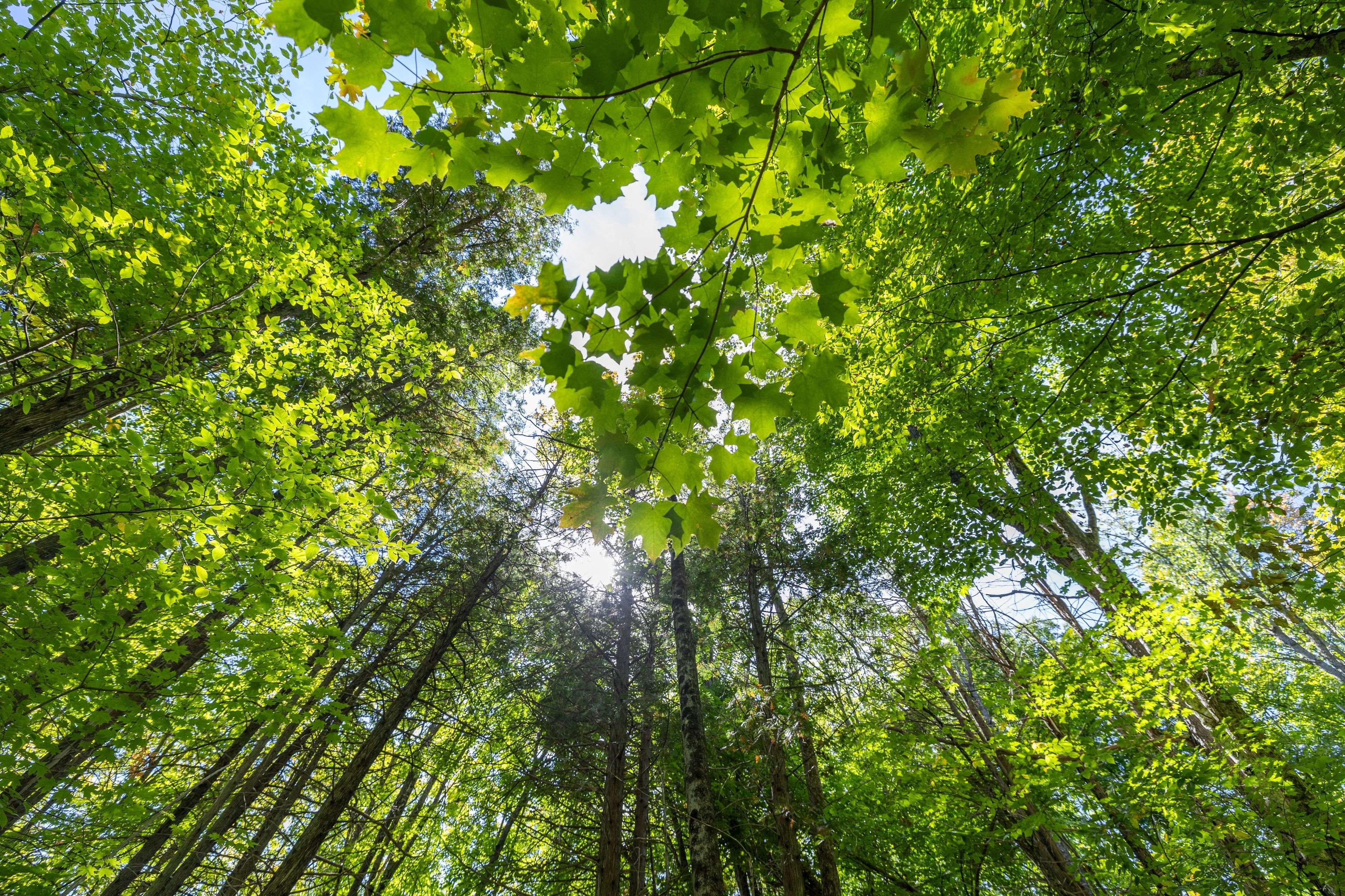 Tay Valley, ON K7H 3C8,19112 HWY 7 HWY