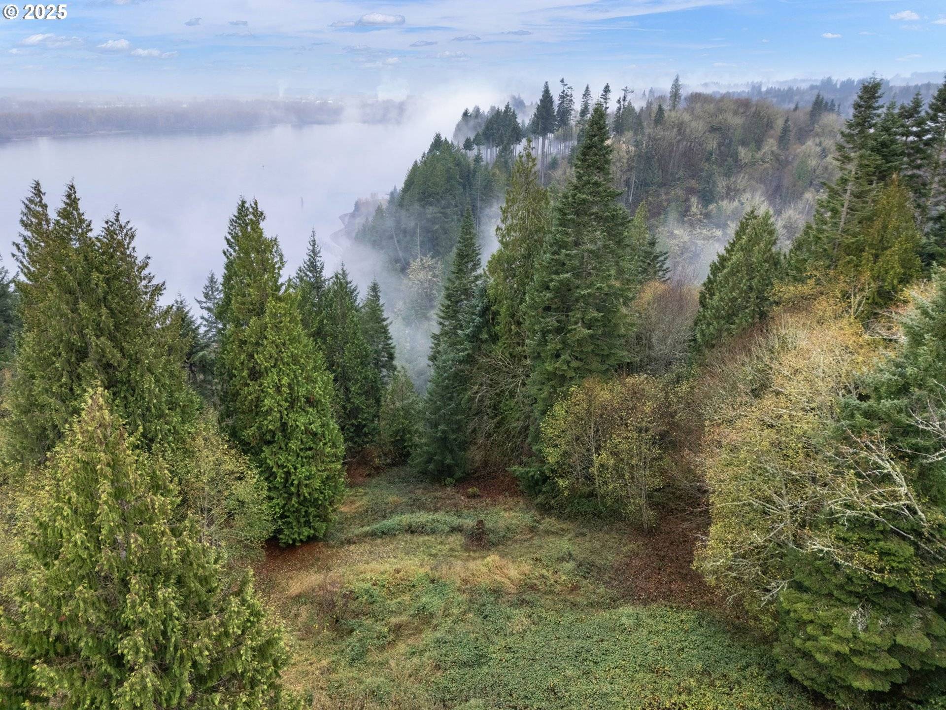 Longview, WA 98632,205 NEWT ESTATES RD