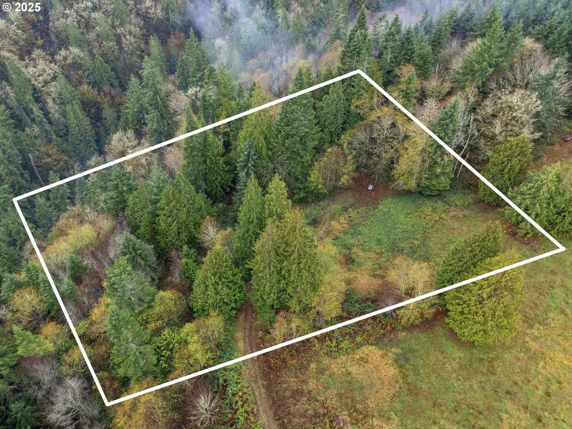 Longview, WA 98632,205 NEWT ESTATES RD