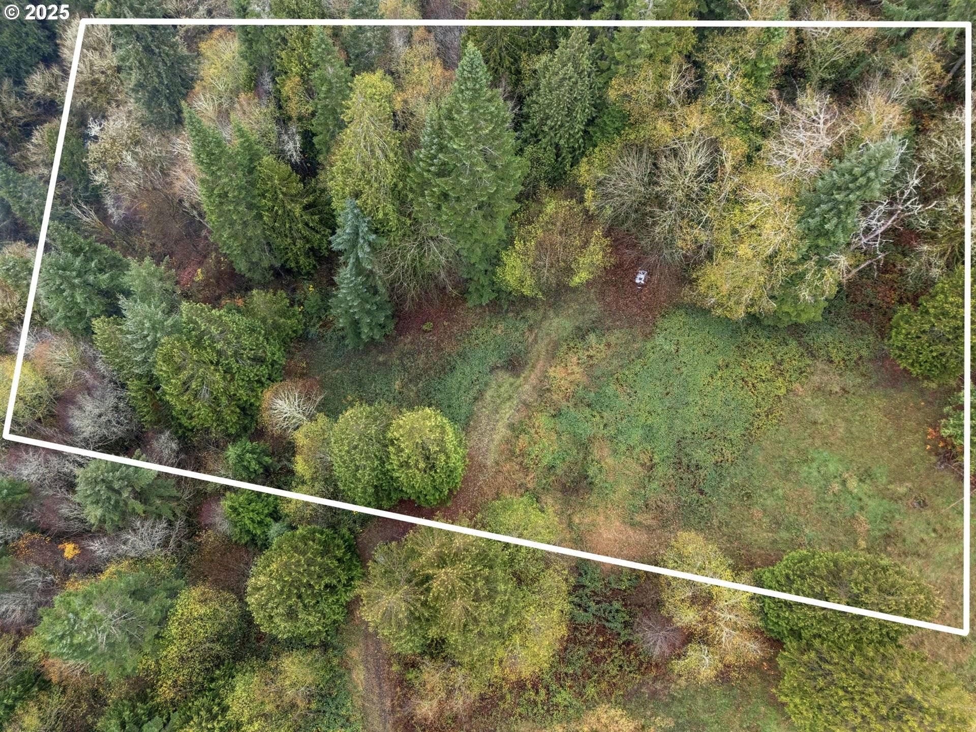 Longview, WA 98632,205 NEWT ESTATES RD