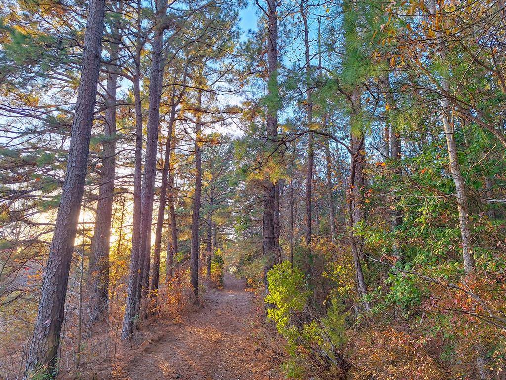 Hughes Springs, TX 75656,TBD County Road 2920