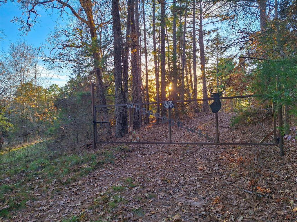 Hughes Springs, TX 75656,TBD County Road 2920