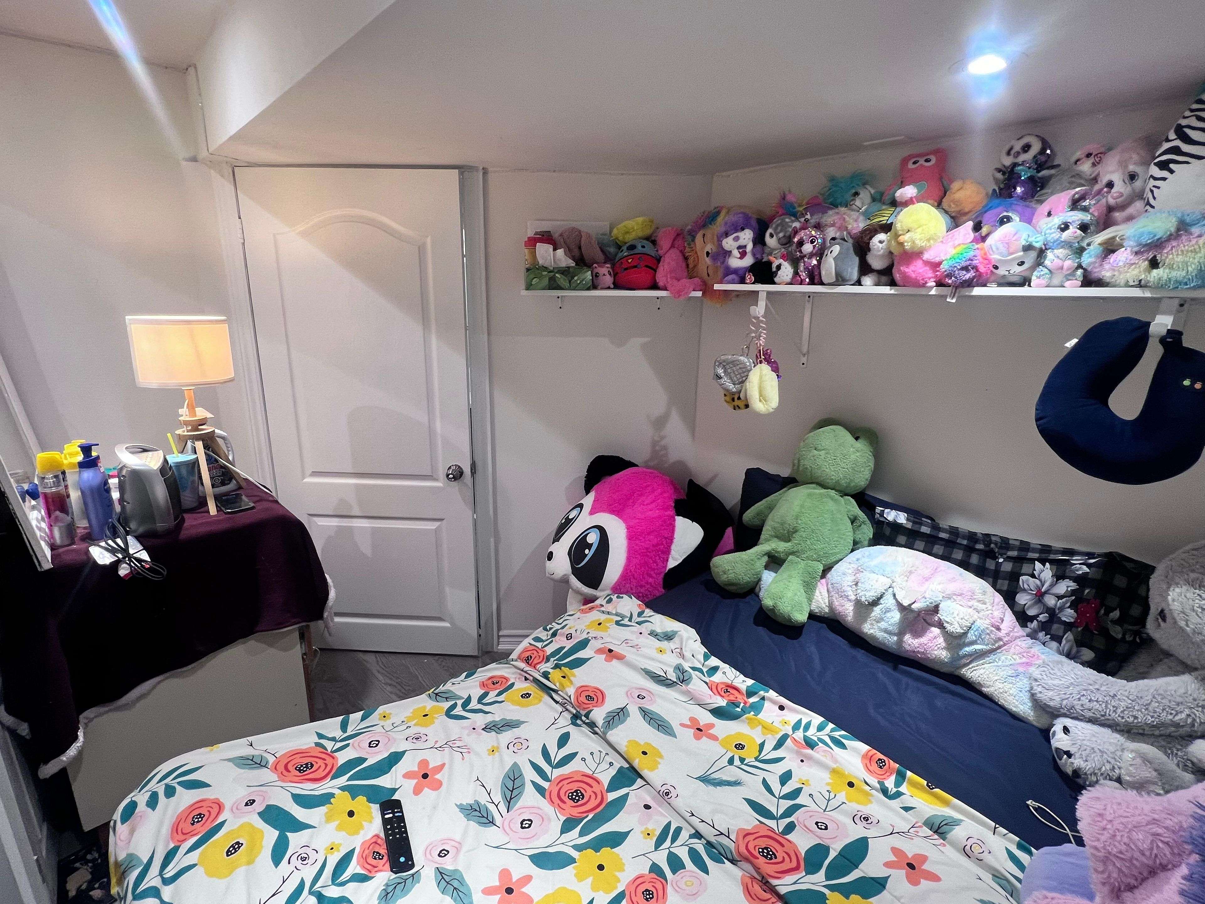 Brampton, ON L6Y 6K1,37 Hashmi PL #BSMT