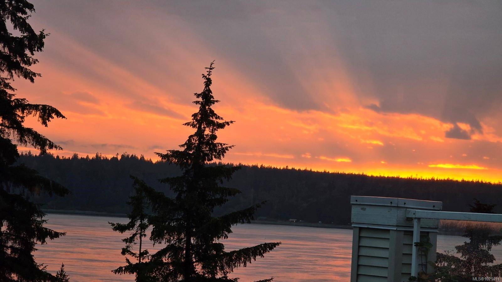 Campbell River, BC V9W 1A5,350 Island Hwy S #318