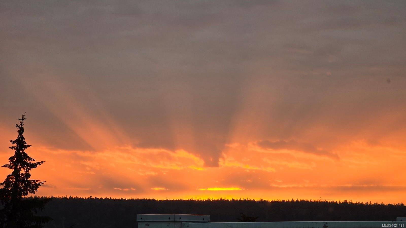 Campbell River, BC V9W 1A5,350 Island Hwy S #318