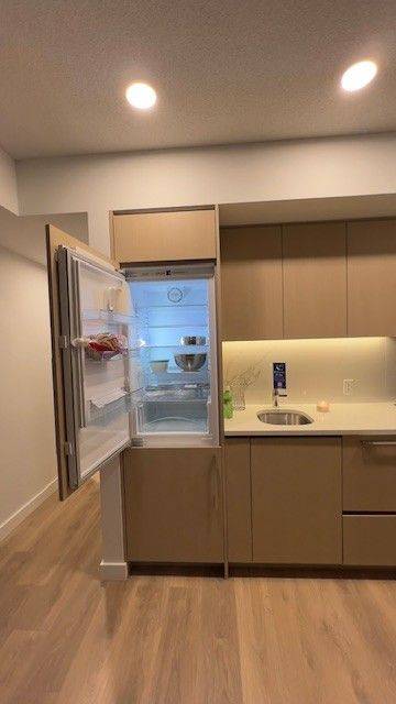 Toronto C01, ON M5V 0P7,38 Widmer ST E #1008