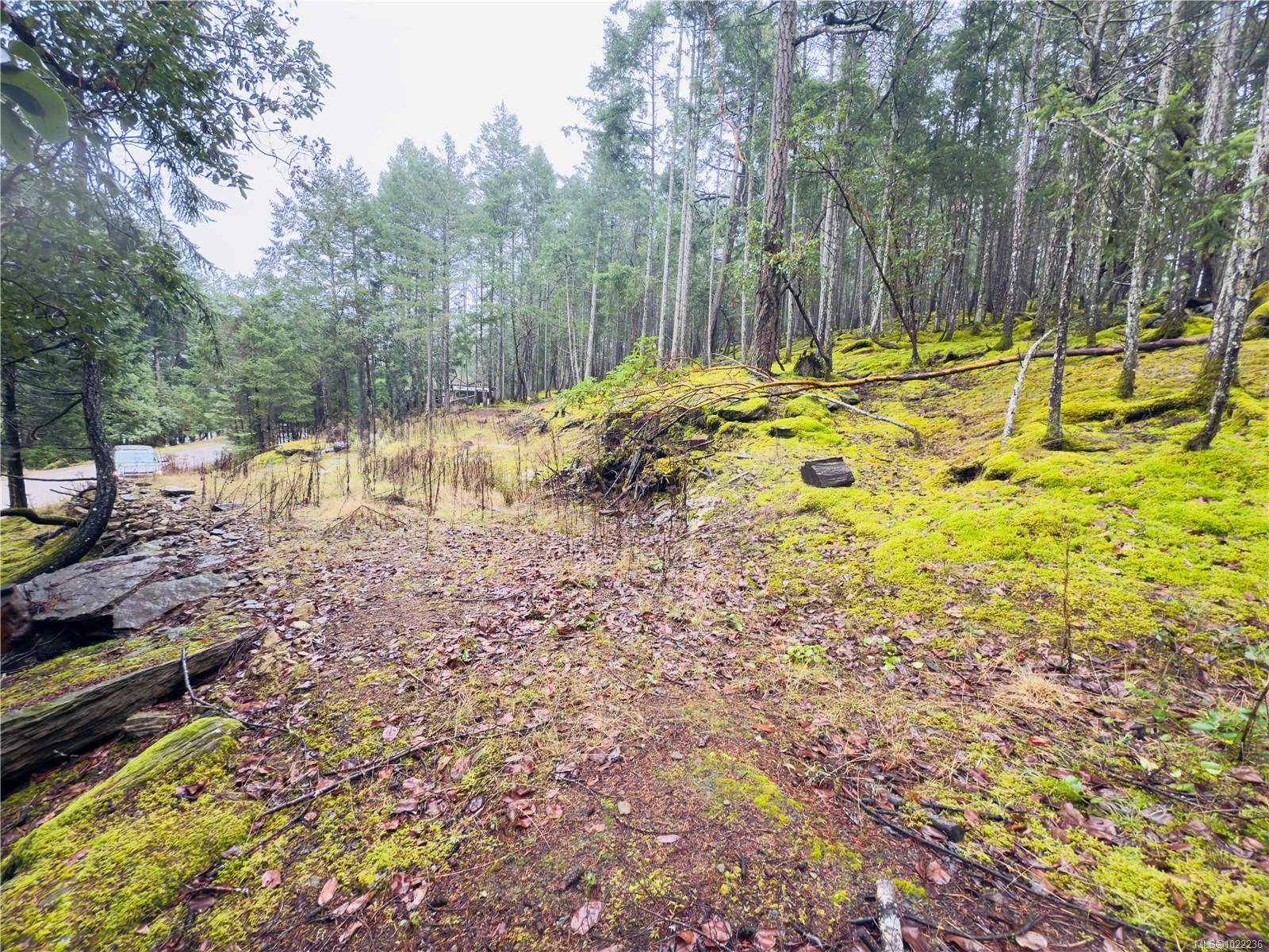 Mudge Island, BC V0R 1X6,136 COHO Dr