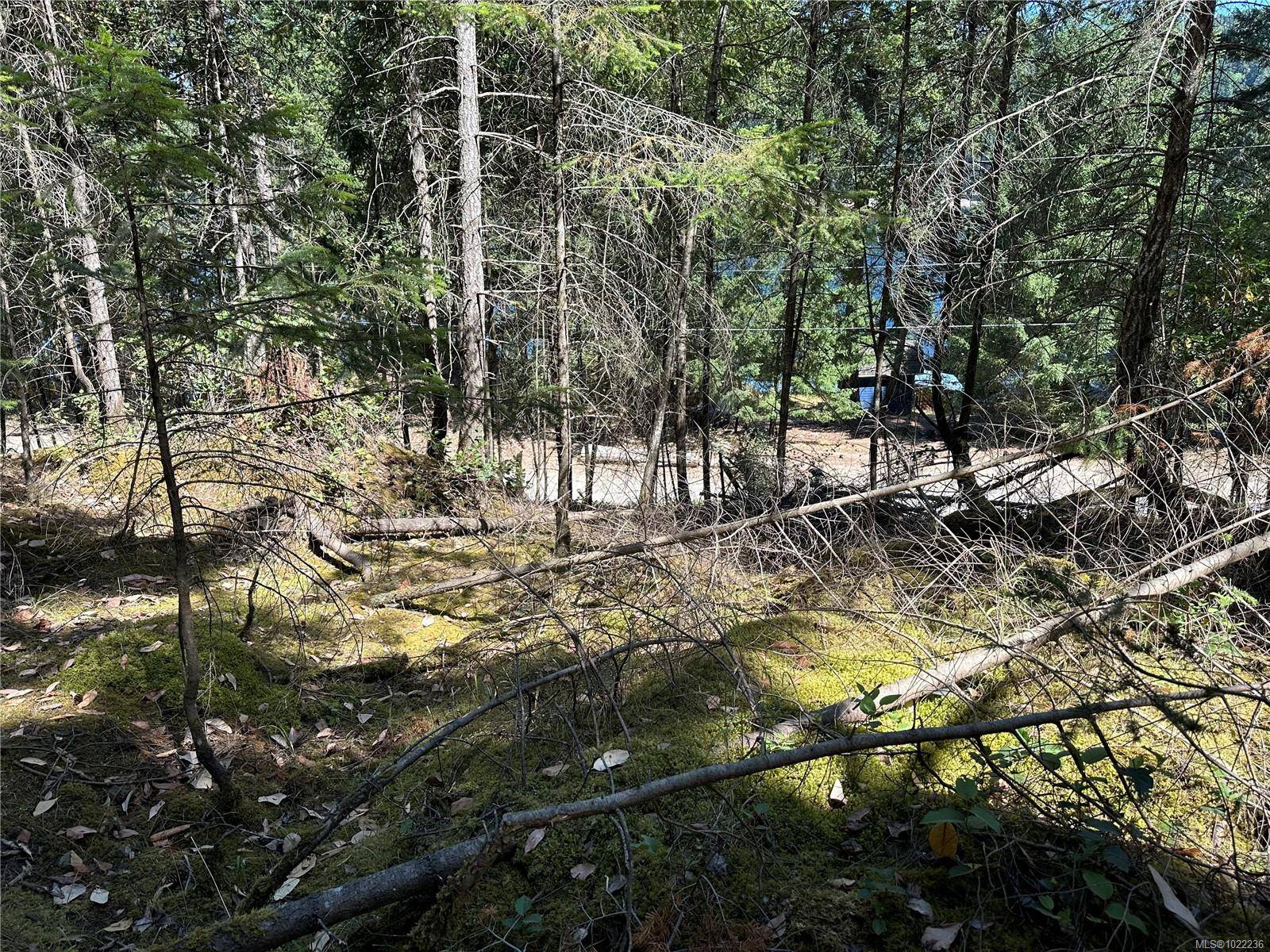 Mudge Island, BC V0R 1X6,136 COHO Dr