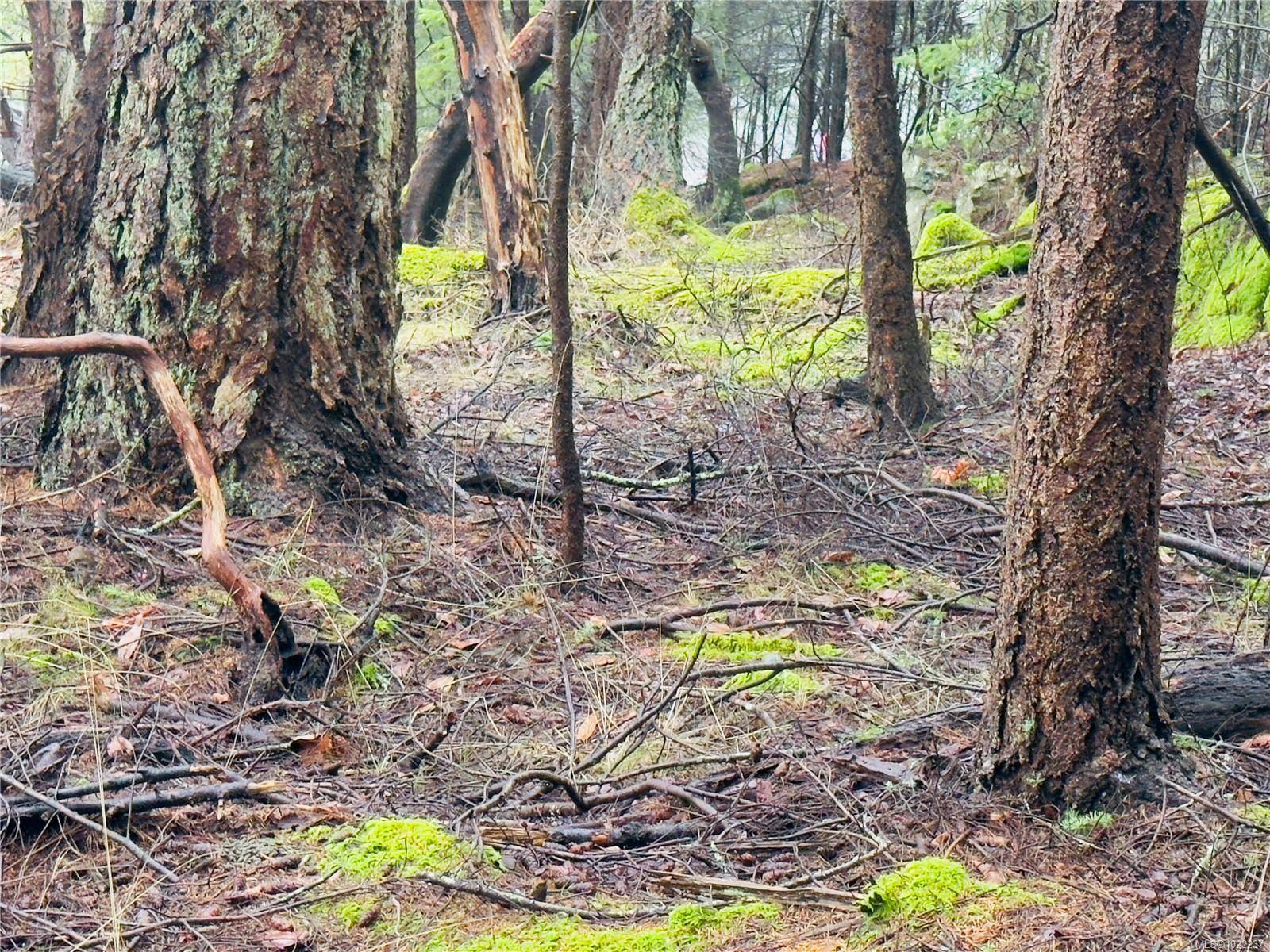 Mudge Island, BC V0R 1X6,127 Halibut Hill Rd