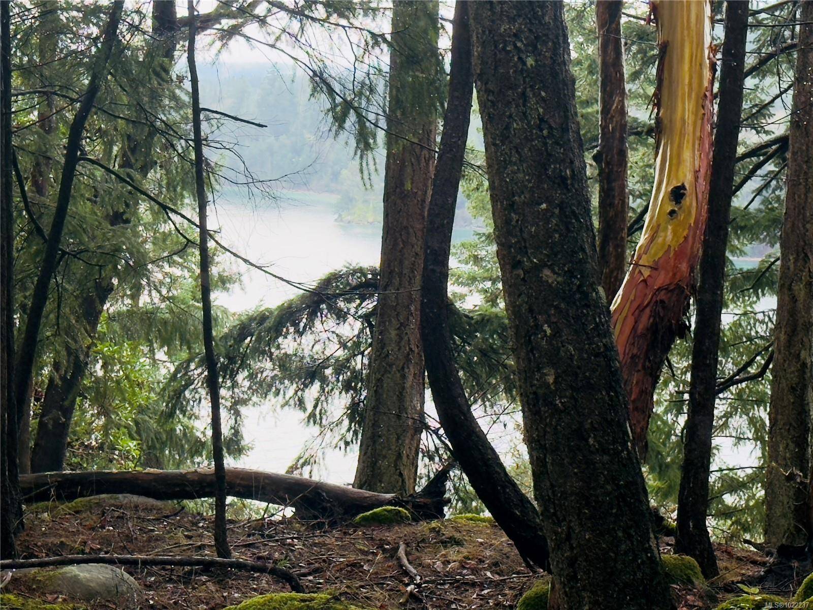 Mudge Island, BC V0R 1X6,127 Halibut Hill Rd