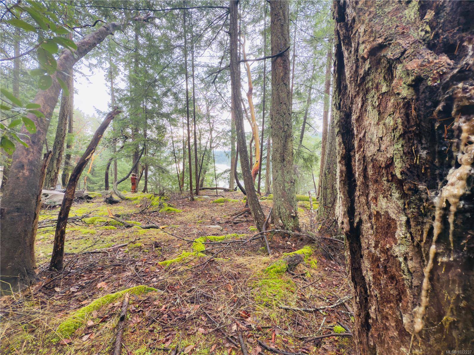 Mudge Island, BC V0R 1X6,127 Halibut Hill Rd