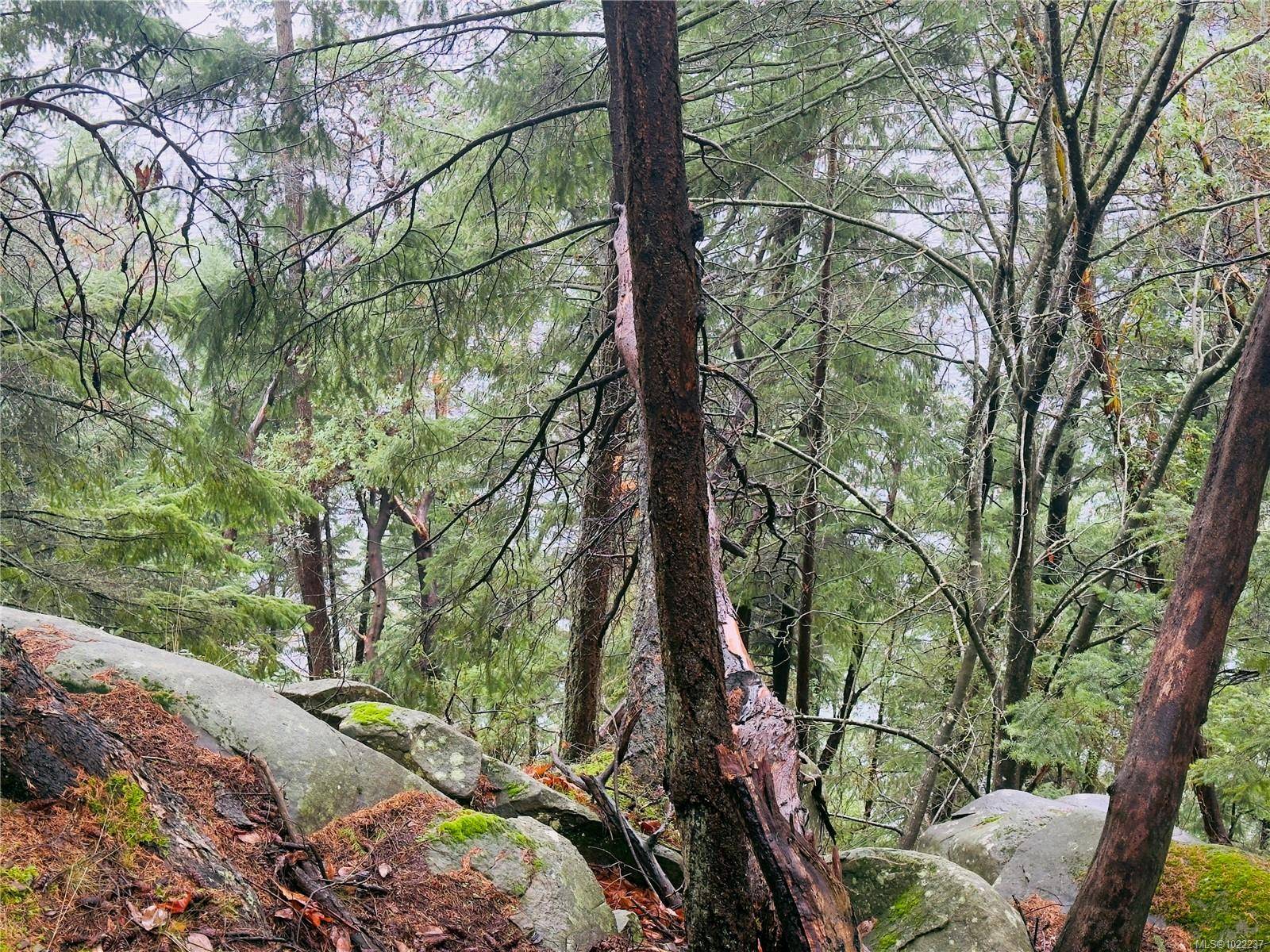 Mudge Island, BC V0R 1X6,127 Halibut Hill Rd