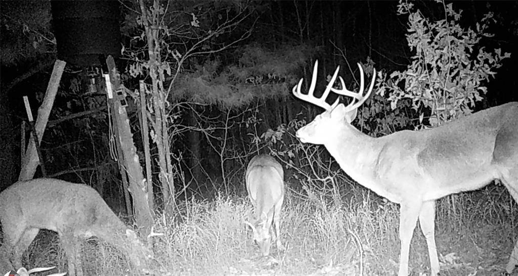 Gilmer, TX 75644,00 Mistletoe Road