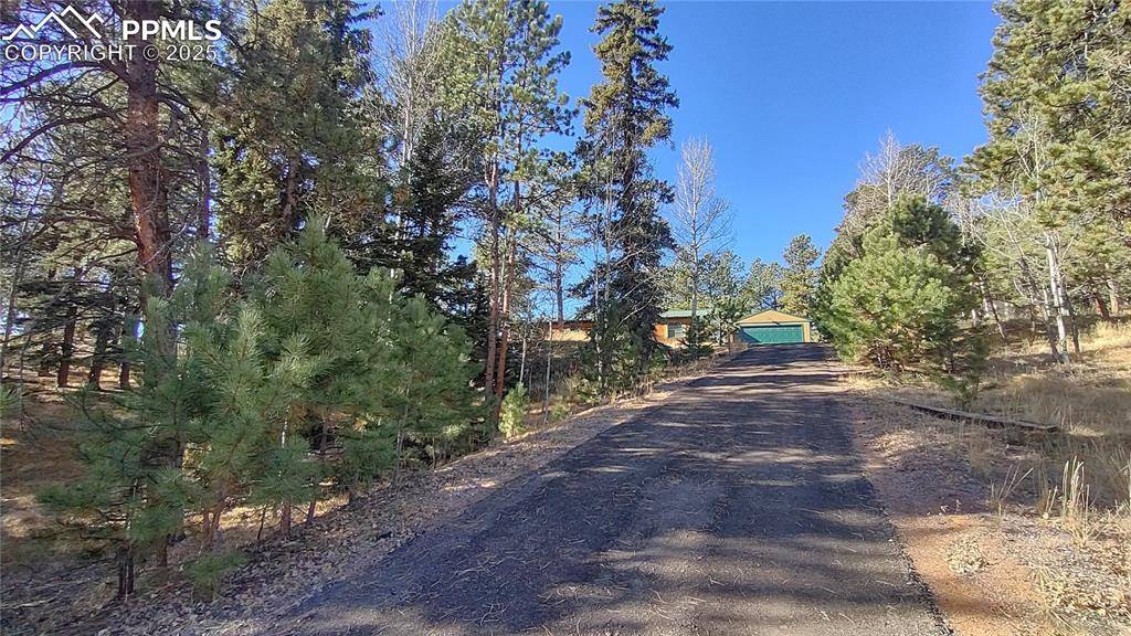 Divide, CO 80814,97 Shadow Lake DR