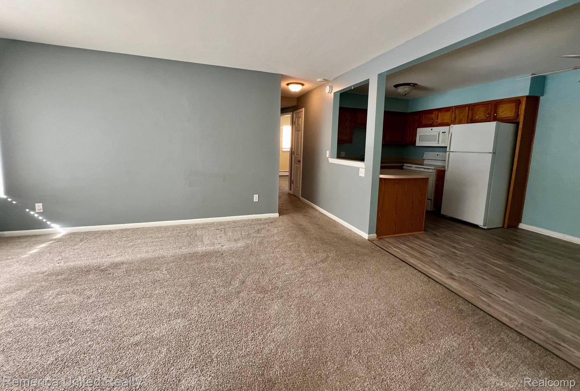 Brighton, MI 48116,6194 Richards DR